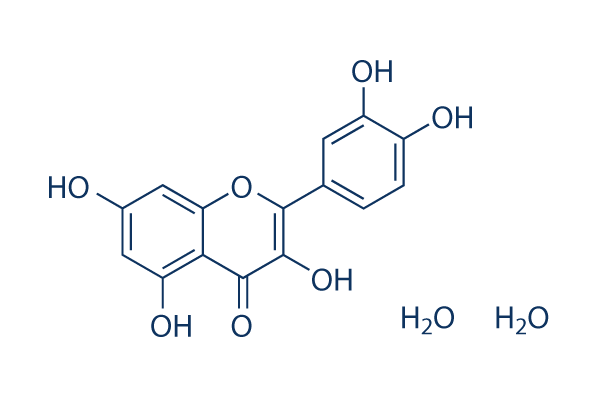 Quercetin Dihydrate