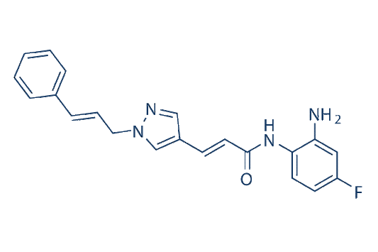 RGFP966