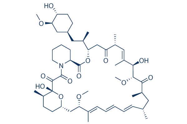 Rapamycin (Sirolimus)