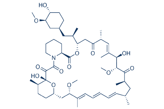 Rapamycin (Sirolimus)