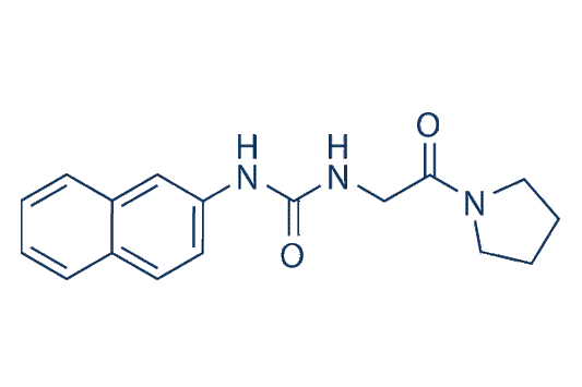 XY1