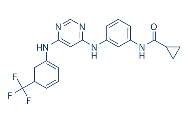 EGFR Inhibitor