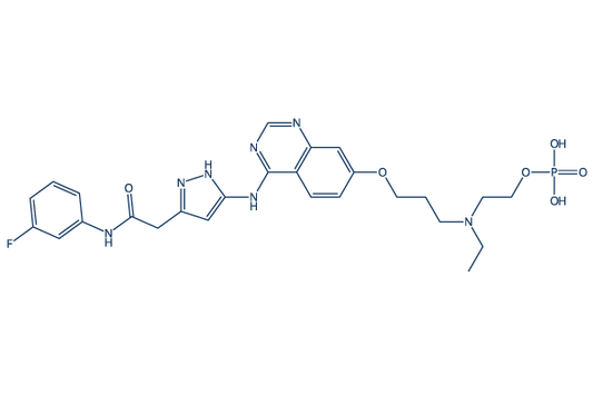 AZD1152 (Barasertib)