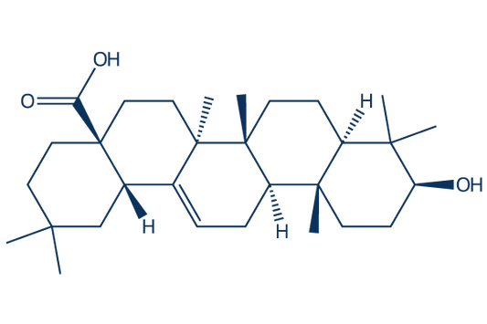 Oleanolic Acid