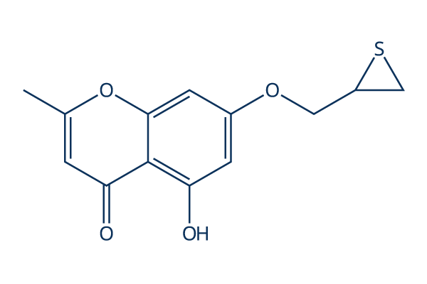 HSP27 inhibitor J2