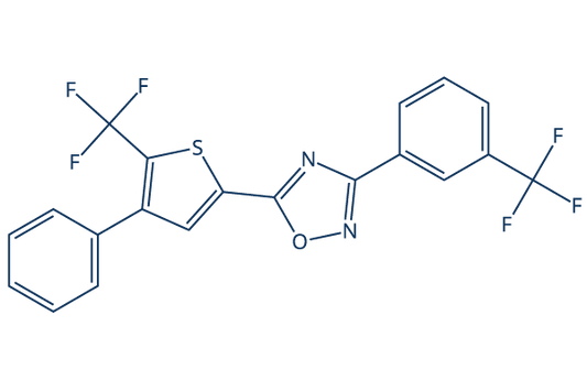 SEW 2871