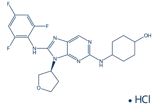 Tanzisertib Hydrochloride (CC-930)