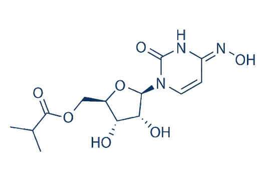 Molnupiravir (EIDD-2801)