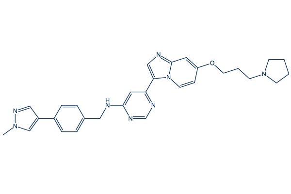 M4205 (IDRX-42)