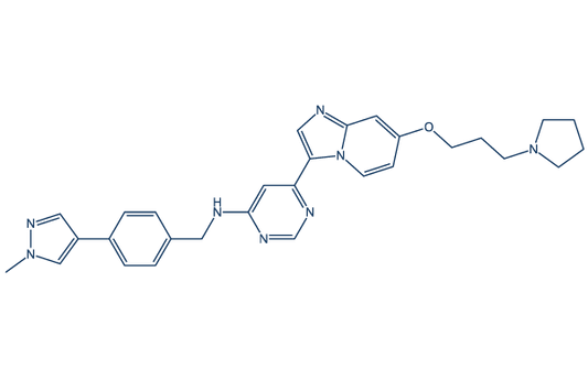 M4205 (IDRX-42)