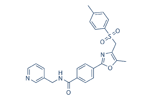STF-118804