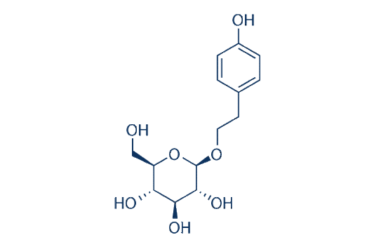 Salidroside