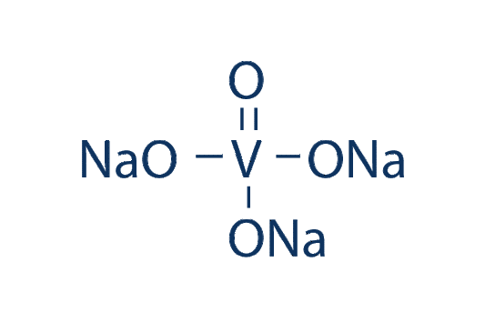 Sodium orthovanadate