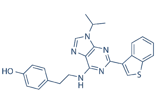 Stemregenin 1 (SR1)