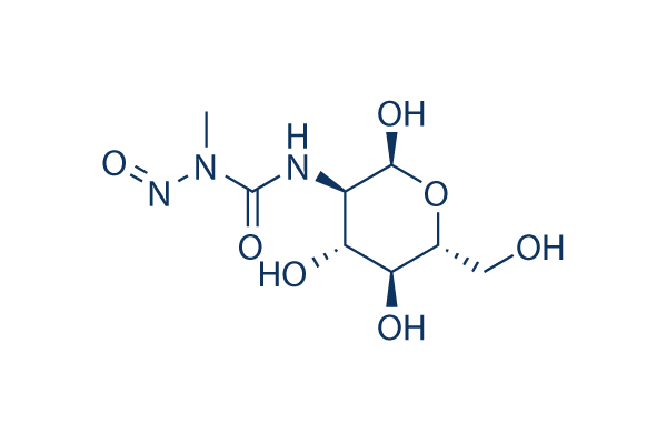 Streptozotocin (STZ)
