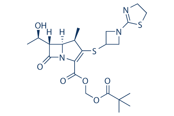 Tebipenem Pivoxil (L084)