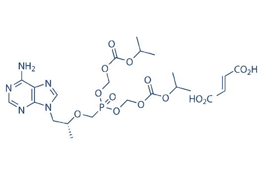 Tenofovir Disoproxil Fumarate