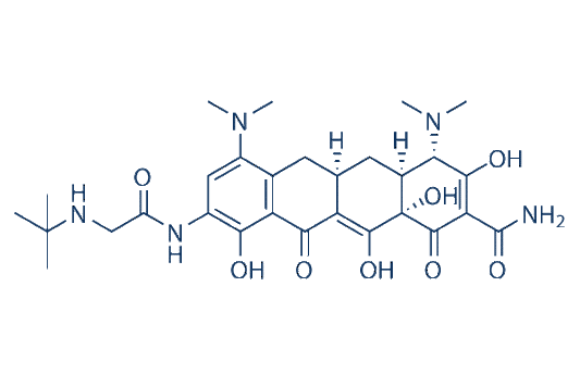 Tigecycline