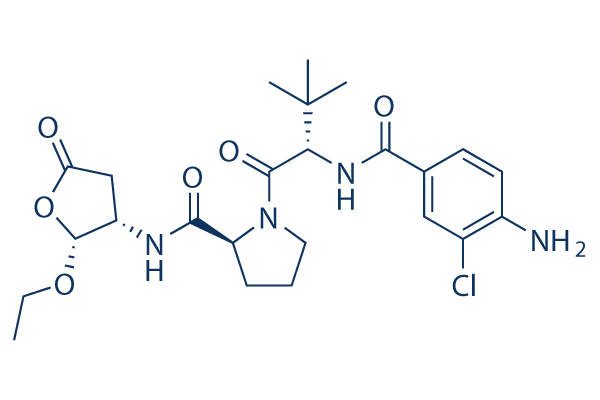 Belnacasan (VX-765)