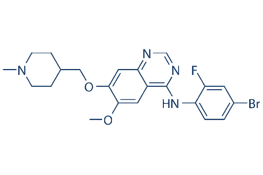 Vandetanib (ZD6474)