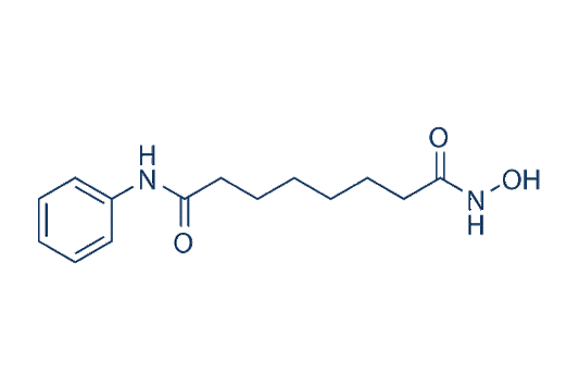 Vorinostat (SAHA)