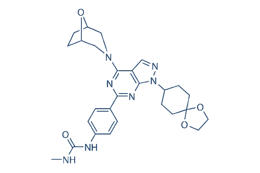 WYE-125132 (WYE-132)