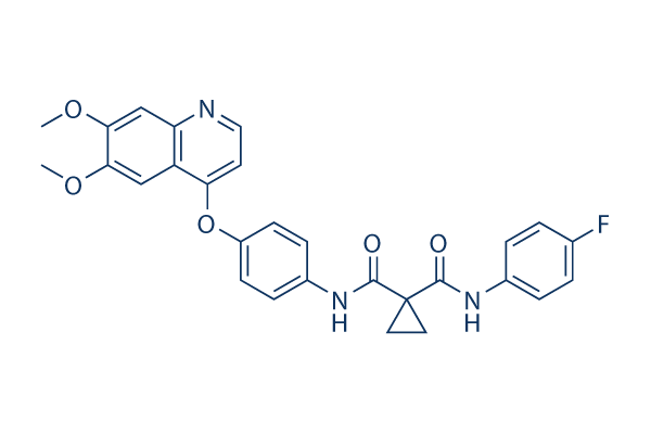 Cabozantinib (XL184)