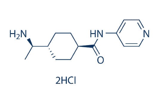 Y-27632 Dihydrochloride