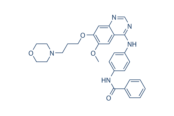 ZM 447439