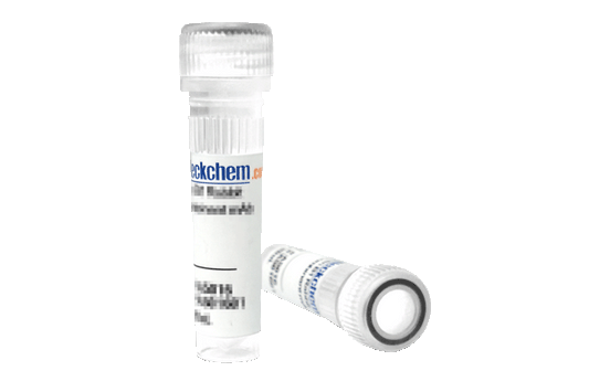 Glembatumumab Vedotin