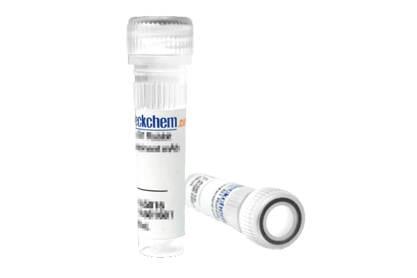 Trastuzumab MMAE