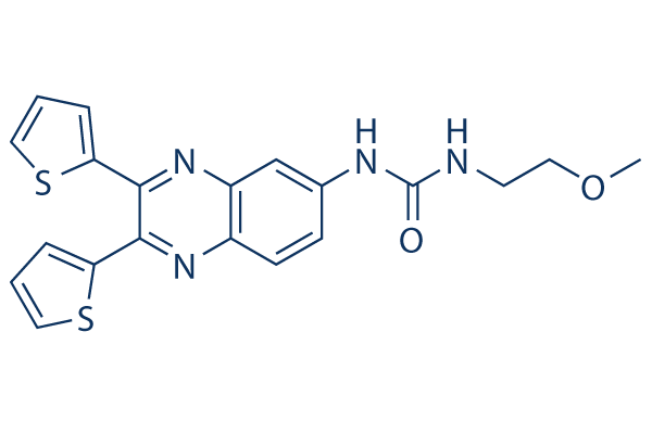 Ac-CoA Synthase Inhibitor1 (ACSS2 inhibitor)