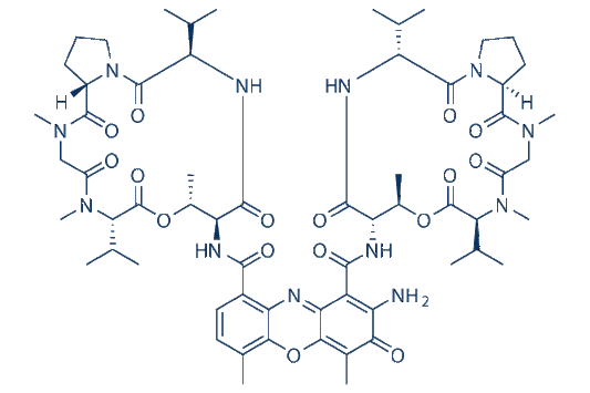 Actinomycin D (Dactinomycin)