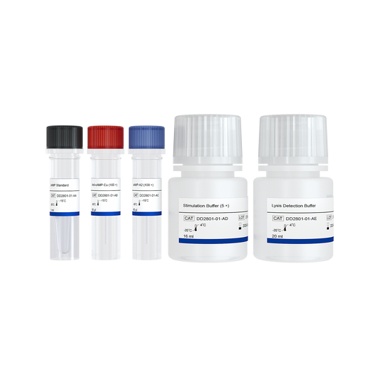 Add&Read TR-FRET cAMP Detection Kit