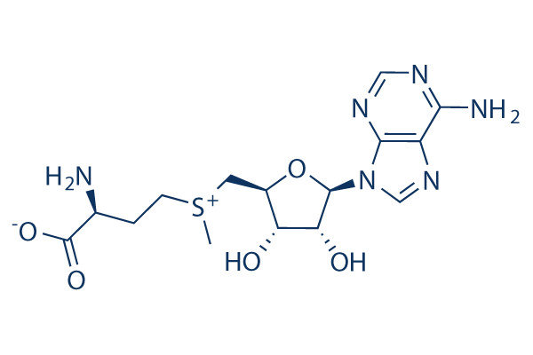 Ademetionine (S-Adenosylmethionine)