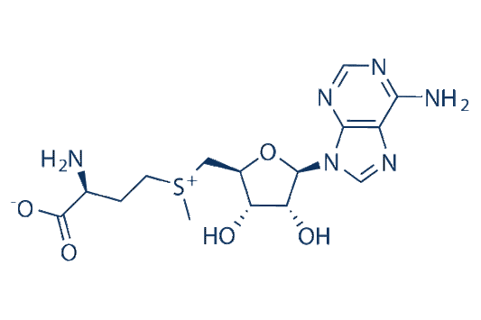 Ademetionine (S-Adenosylmethionine)