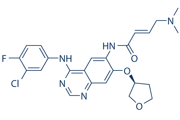 Afatinib (BIBW2992)