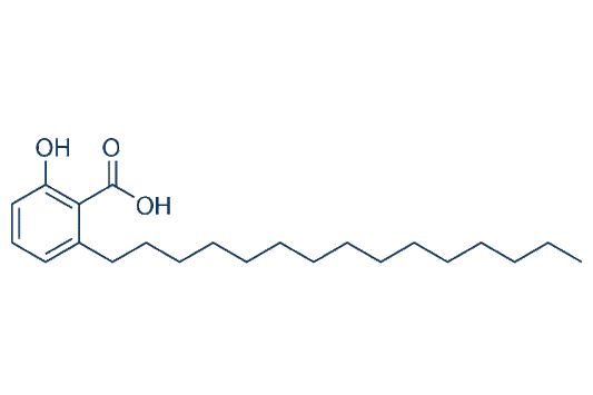 Anacardic Acid