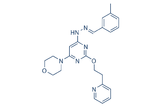 Apilimod (STA-5326)