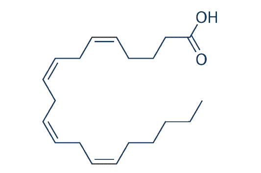 Arachidonic acid