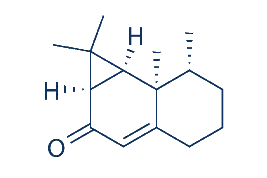 Aristolone