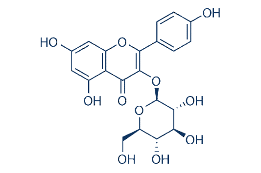 Astragalin