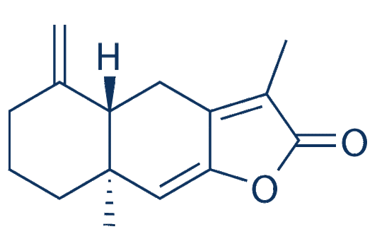 Atractylenolide I