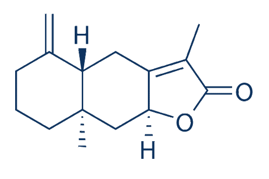 Atractylenolide II