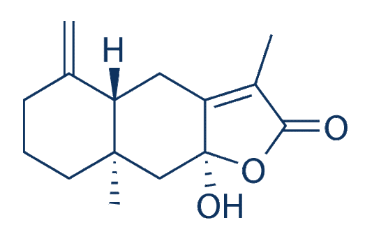 Atractylenolide III