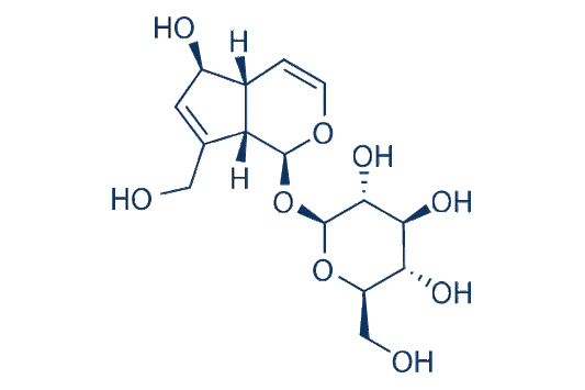 Aucubin