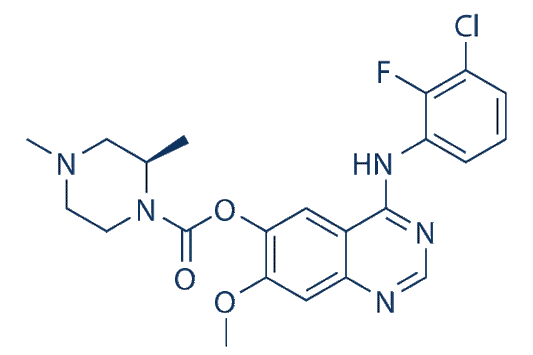 Zorifertinib (AZD3759)