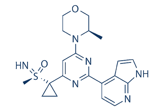 Ceralasertib (AZD6738)