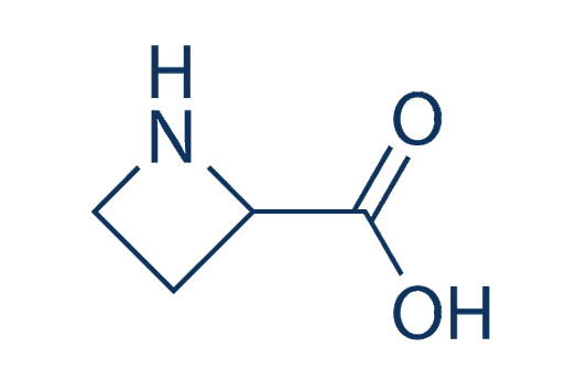 Azetidine-2-carboxylic acid