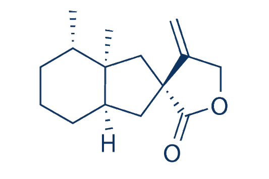 Bakkenolide A